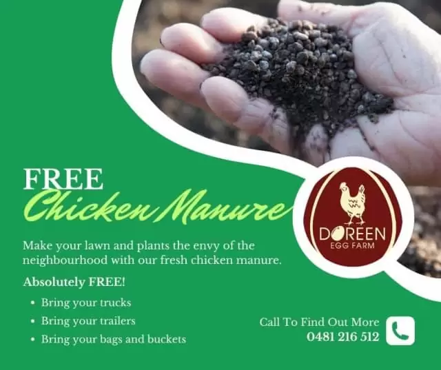 Chicken manure by the truckload for FREE